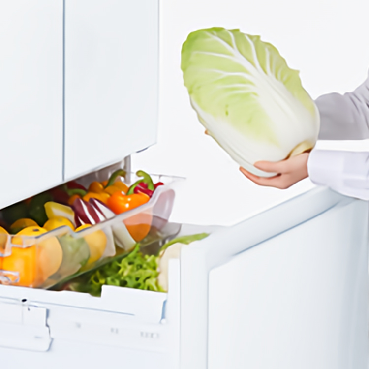 GR-V460FK | 冷蔵庫 | 東芝ライフスタイル株式会社