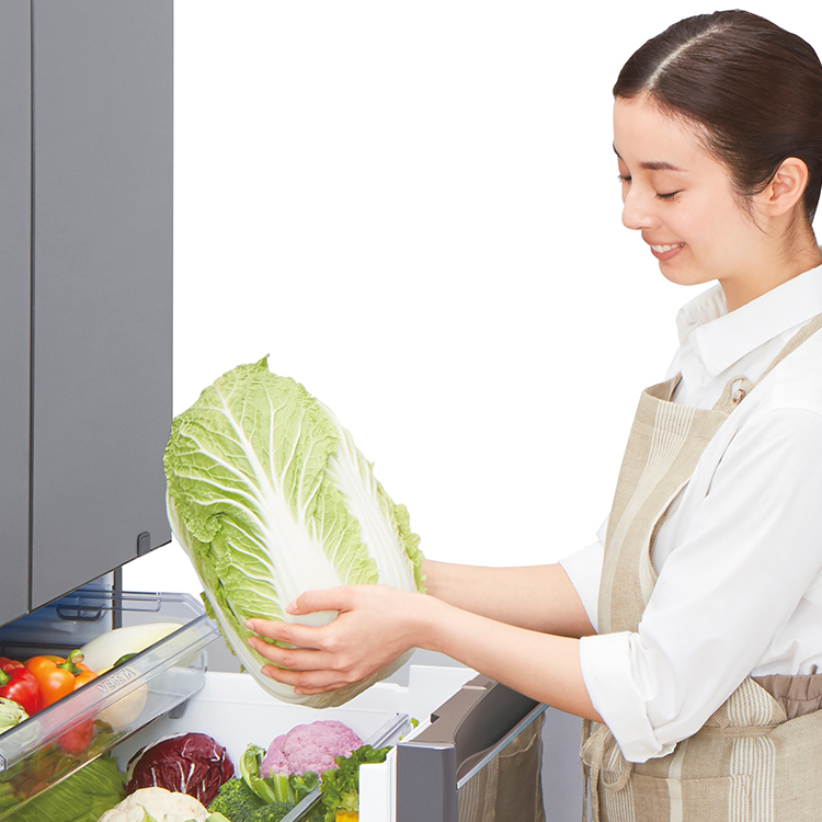 GR-T510FZ | 冷蔵庫 | 東芝ライフスタイル株式会社