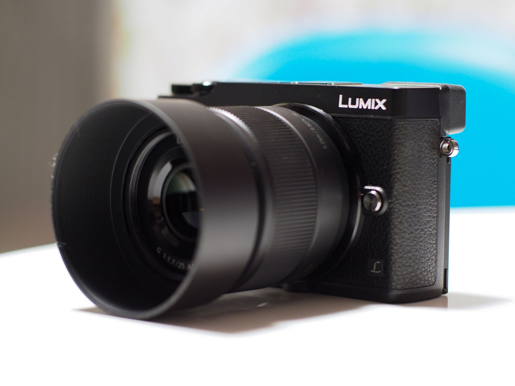 マイクロフォーサーズ25mm単焦点レンズ対決（LUMIX G 25mm/F1.7 vs