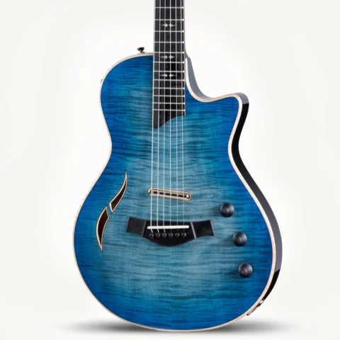 Taylor Guitars