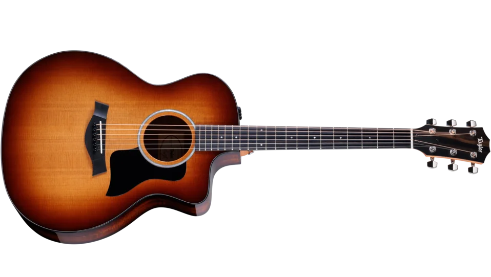 Taylor214ce-Koa SBギターケースピックカポ付き Taylor214ce-Koa SB
