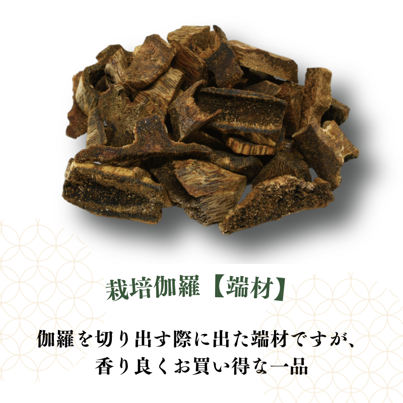 栽培伽羅・沈香【数量限定】