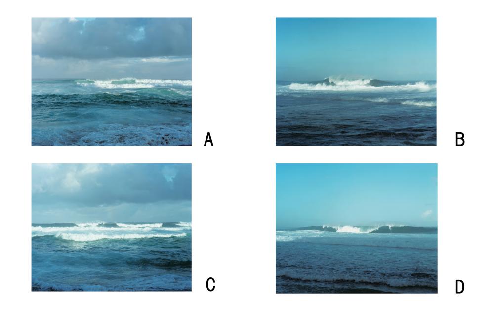 NEW WAVES 特装本 ( スペシャルエディション 4冊セット )NEW WAVES