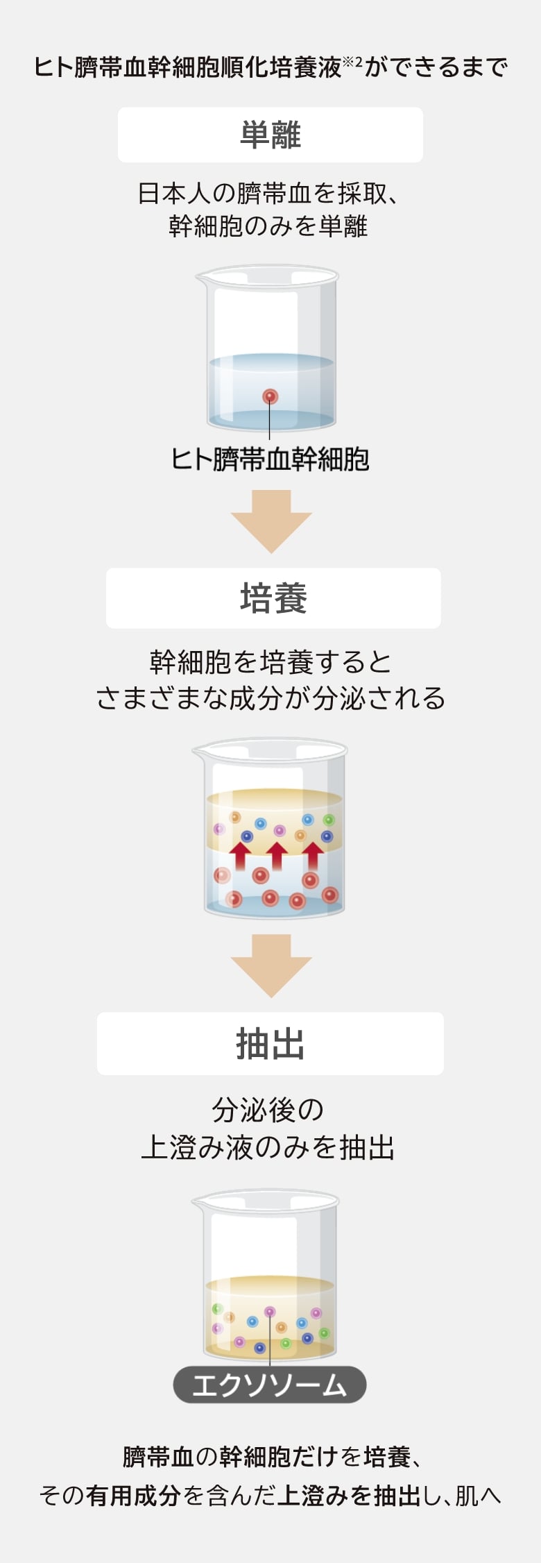 TAKANO YURI スーパーセルセラム(通常): 美容液 たかの友梨BEAUTY SHOPPING