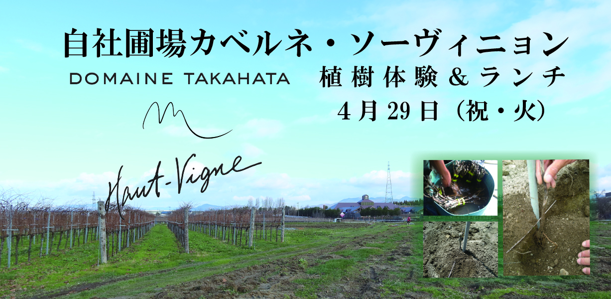 自社圃場カベルネ・ソーヴィニョン植樹体験＆ランチイベント｜お知らせ