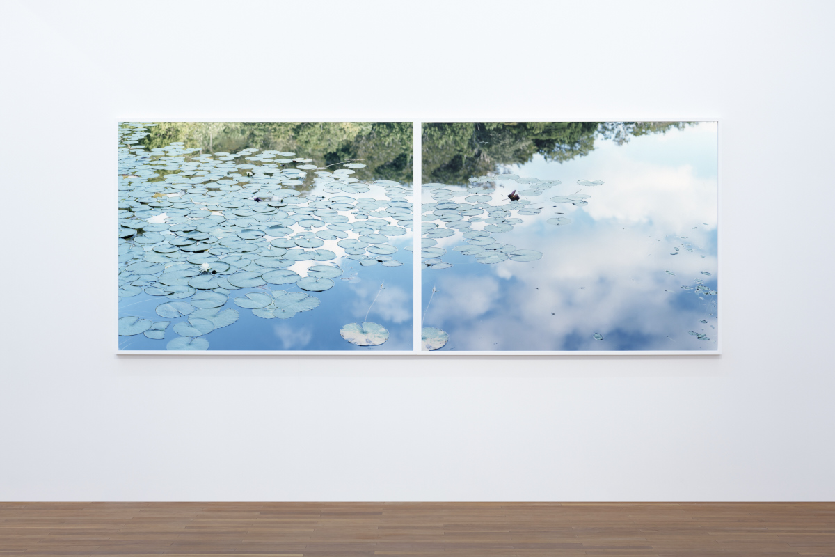 鈴木 理策 | タカ・イシイギャラリー / Taka Ishii Gallery