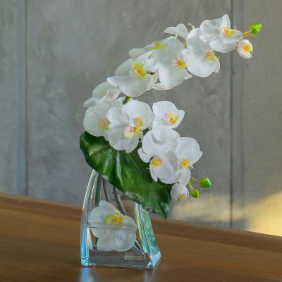 EMILIO ROBBA（エミリオ・ロバ） | リビング・ホビー・スポーツ