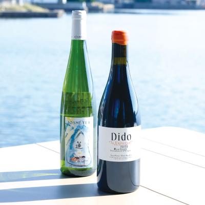 紅白セット | ワイン | ワイン・シャンパン | フード・スイーツ