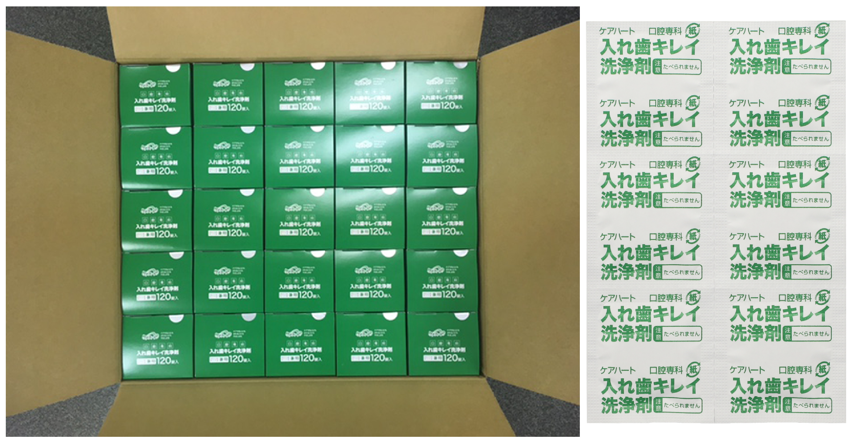 ケアハート 口腔専科 入れ歯キレイ洗浄剤 | タマガワエーザイ