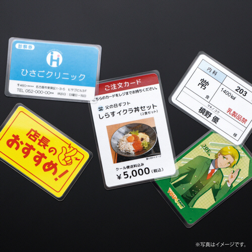 たのめーる】ヒサゴ フジプラ ラミネートフィルム CPリーフ ラミPOP