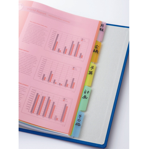 たのめーる】TANOSEE インデックス(PP) A4タテ 2穴 12山 1セット(20組