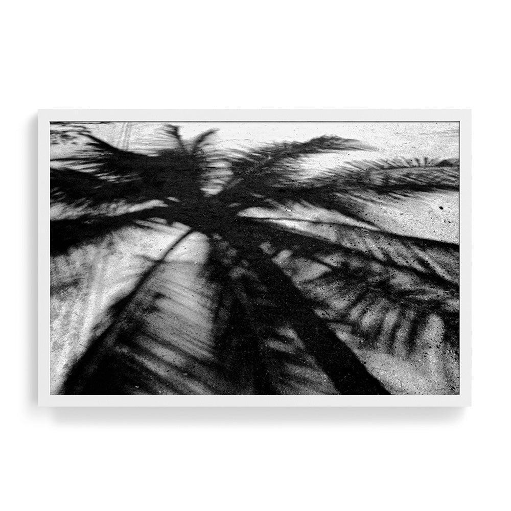 Palm-Shadow_60x40-White-Full-