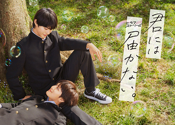 君には届かない。 DVD-BOX | TCエンタテインメント株式会社