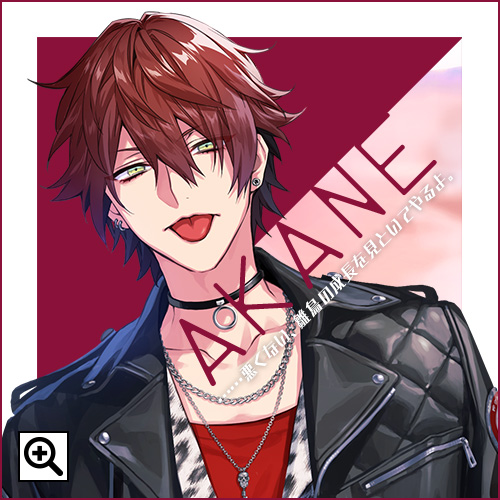 DIG-ROCK ディグロ 茜 AKANE セット 83)ディグロ DIG-ROCK 日暮 茜