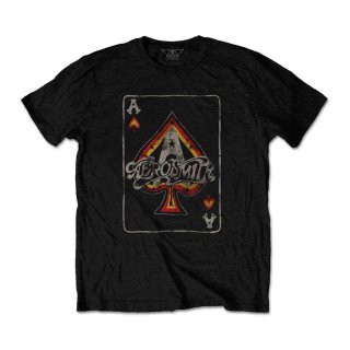 Aerosmith バンドTシャツ エアロスミス Route Of All Evil Tour 2006