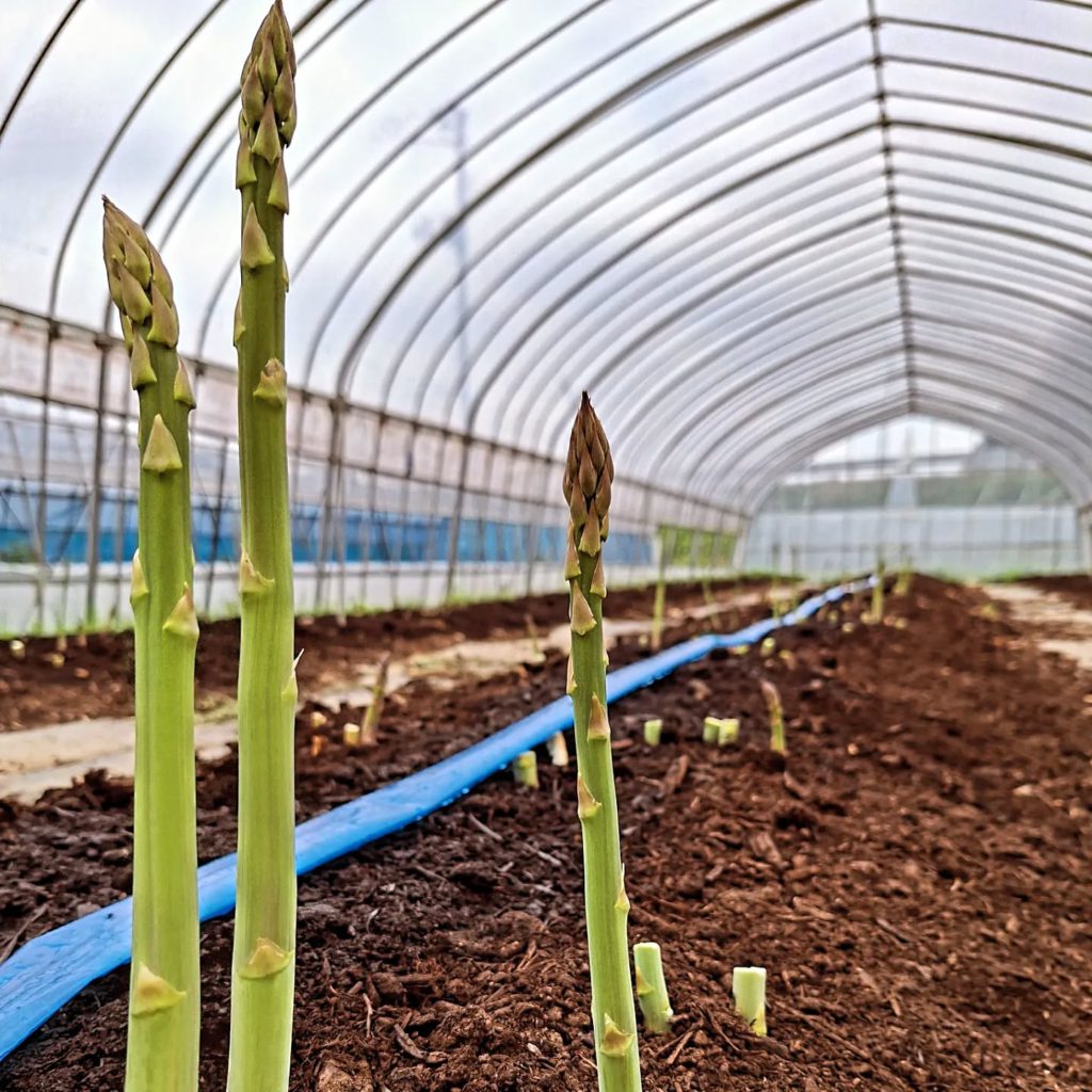 パンダ工房 - てんえいとりっぷ | 天栄村観光ポータルサイト