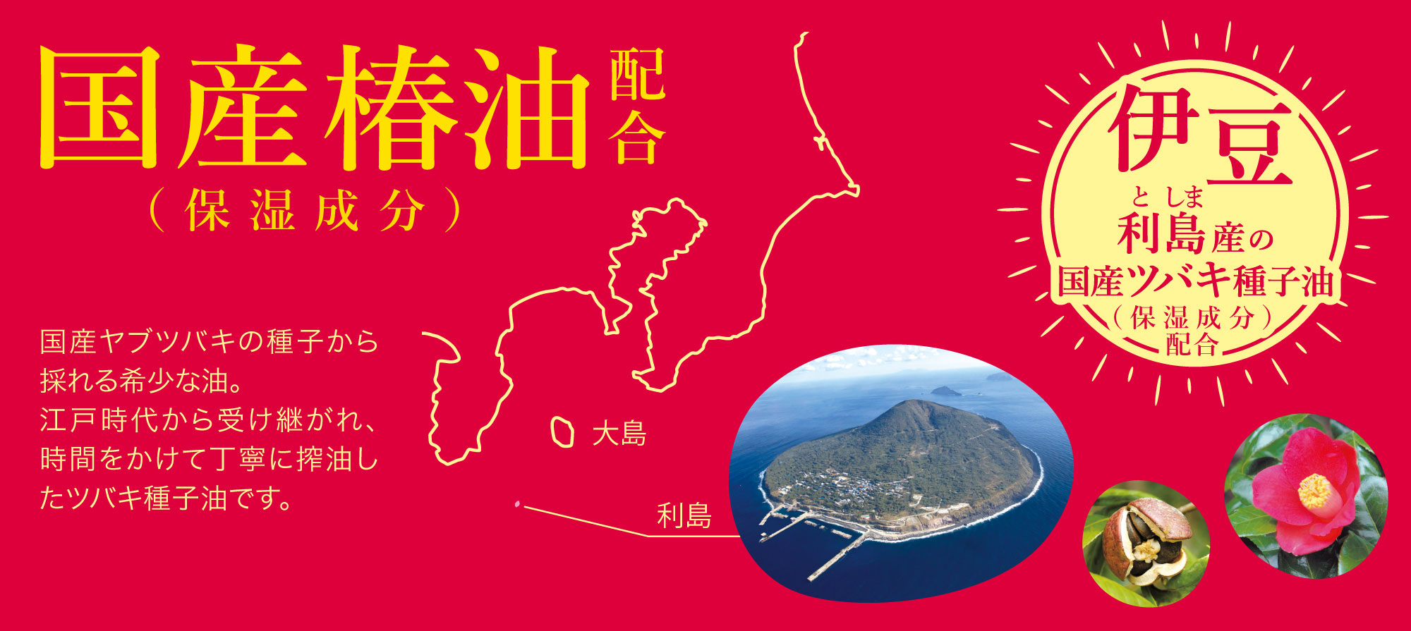 本島椿 純椿油 - 株式会社三宝