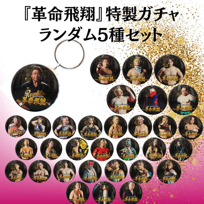 革命飛翔 缶バッジ型キーホルダー ランダム5個セット - 天龍プロジェクト