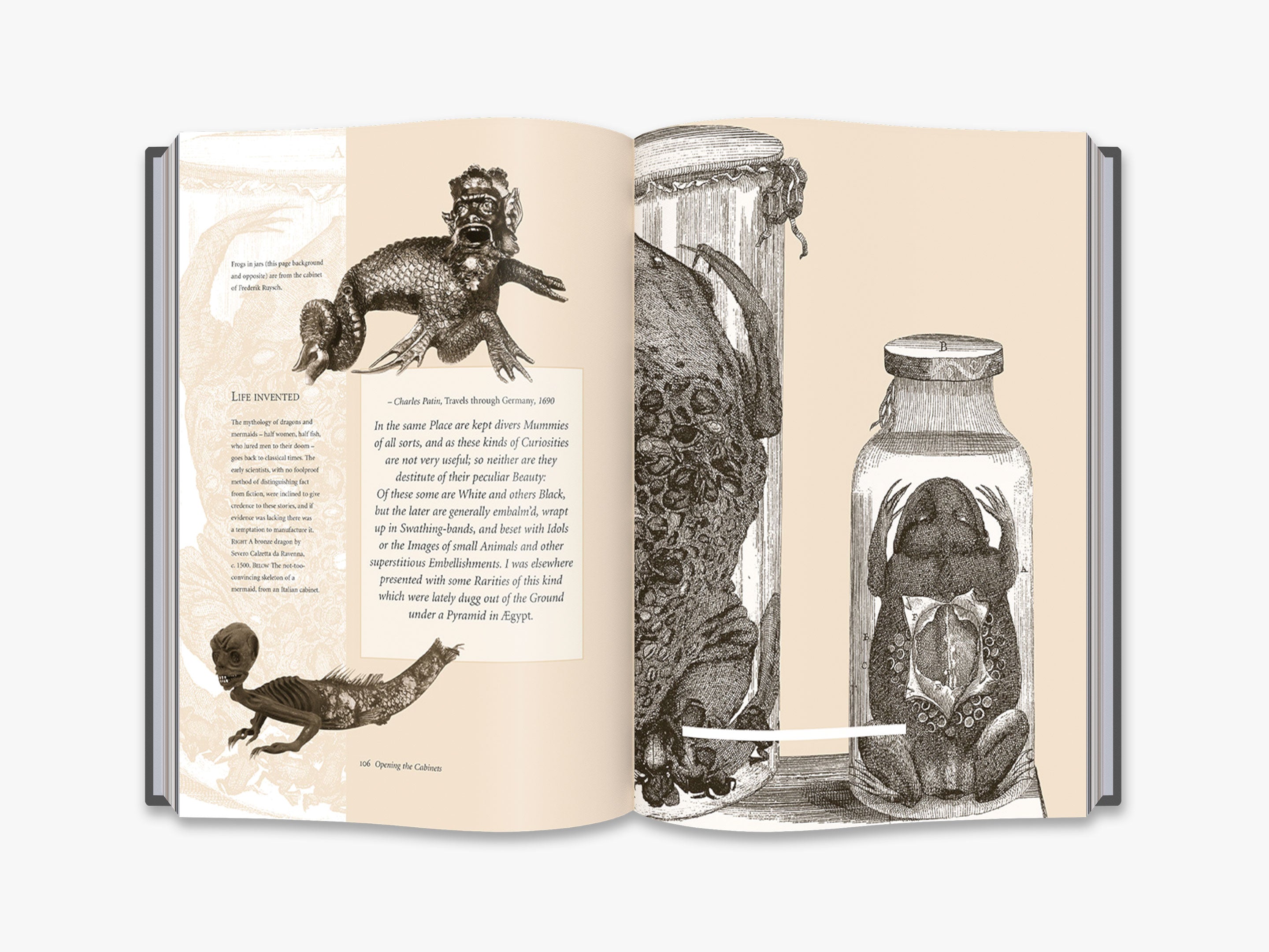 Cabinets of Curiosities