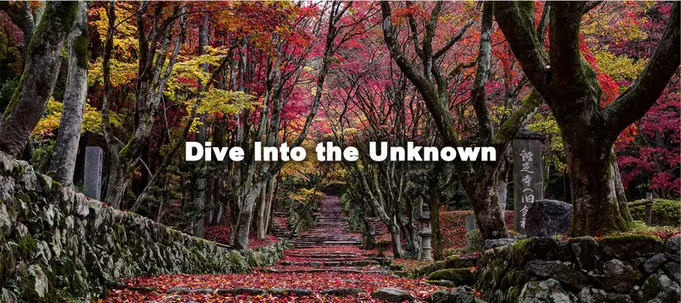 Historical Kansai, Cultural Kansai, Japan's Treasure House | The