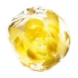 ザ・ギンザ（THE GINZA）｜エンパワライザーn スペシャルサイト