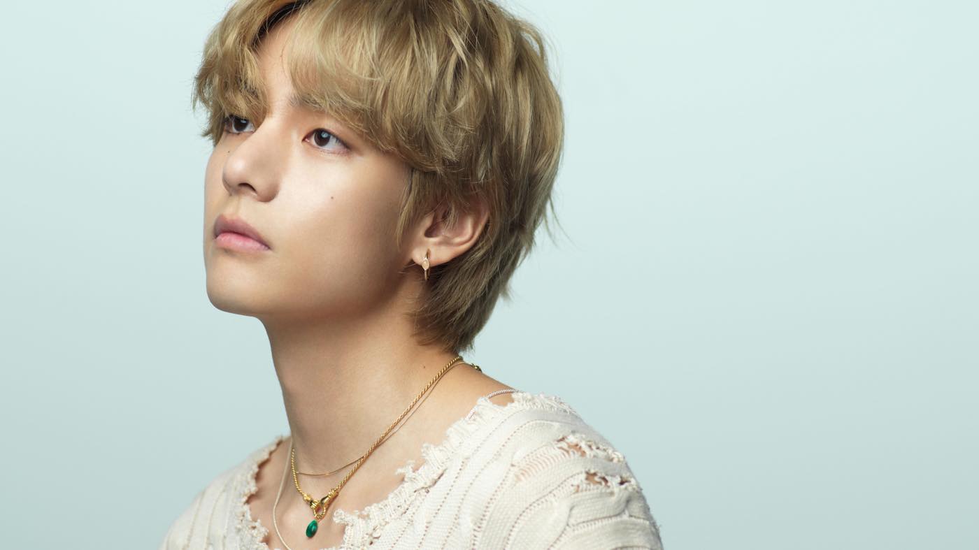 BTS BTS テヒョン テヒョン 公式うちわセット BTS テテ V うちわセット