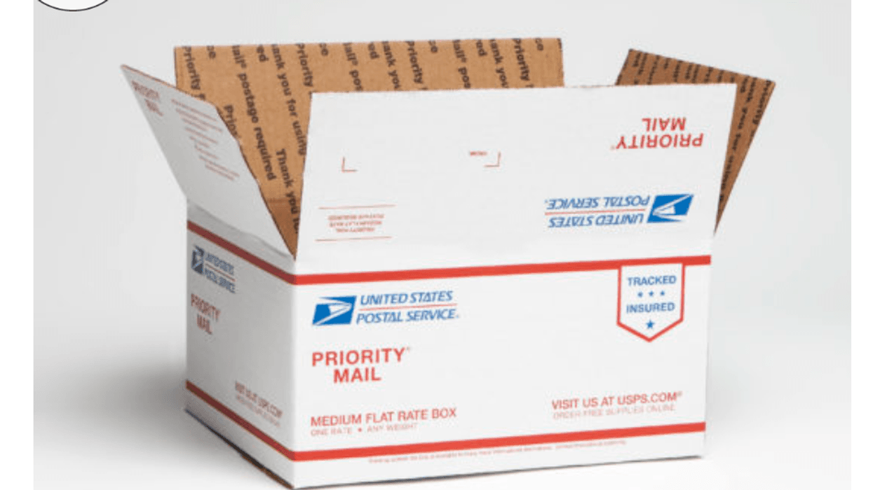 PUTS USPS Priority Mail シルクスクリーン作品 2点 Scolded by post