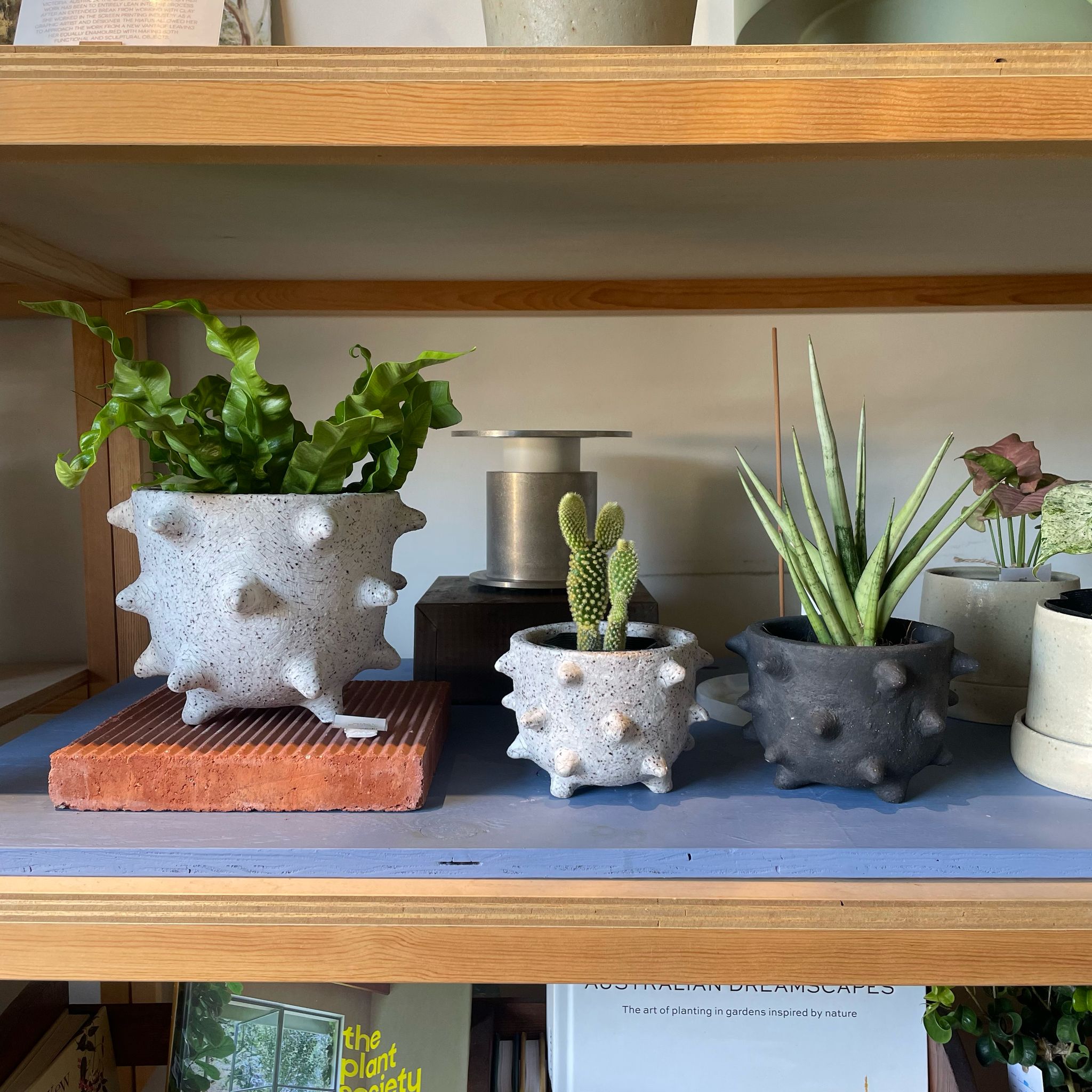 Spike Planter by Buzzby & Fang I 植木鉢 I プラントソサエティ