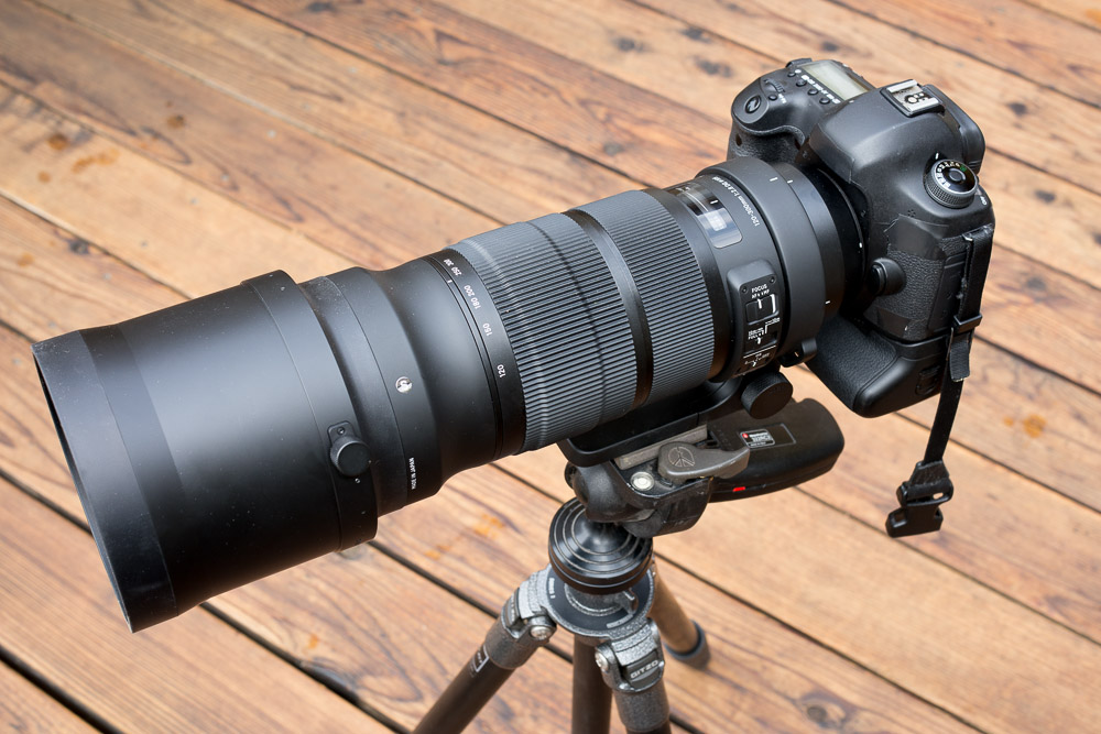 Review: Sigma 120-300mm f/2.8 DG OS HSM IS (Canon EF Mount) - The
