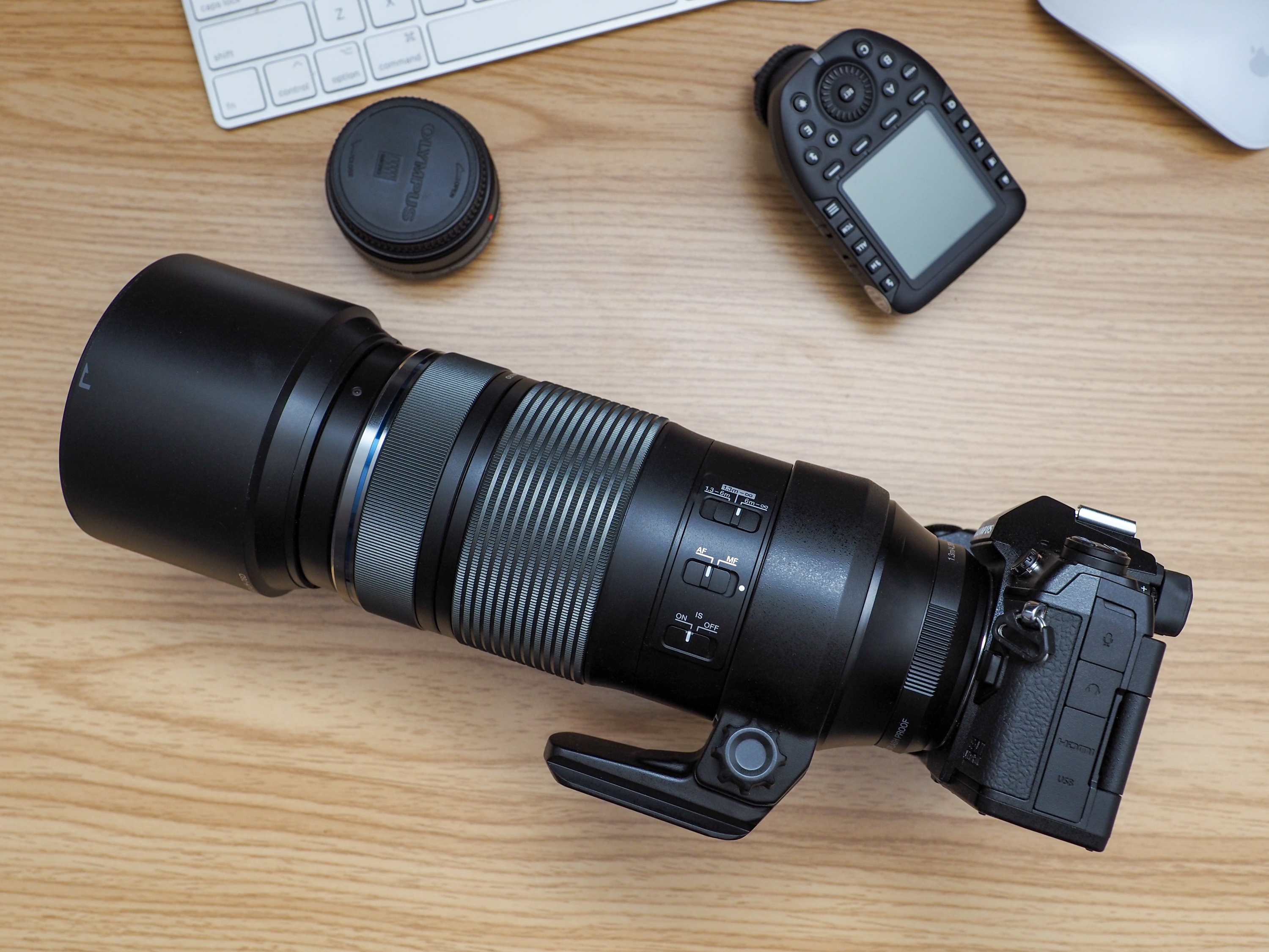 Powerful, Portable, and Affordable: Olympus 100-400mm f5-6.3 IS Review