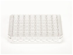 Nunc™ Cell-Culture Treated Multidishes 48 | Buy Online | Thermo