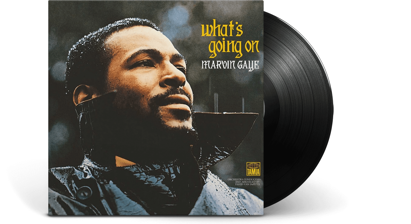 Vinyl | What's Going On | Marvin Gaye