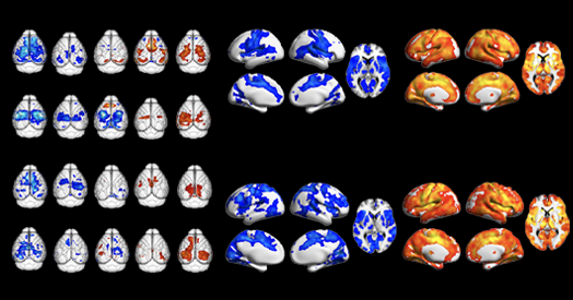 cropped-525-social-spectrum-