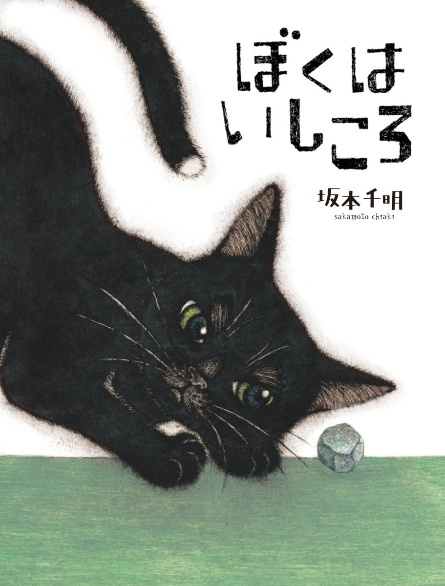 坂本千明『ぼくはいしころ』原画展 | 本屋 Title