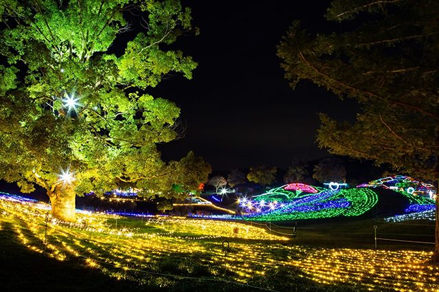 冬の夜を彩る“星空散歩”