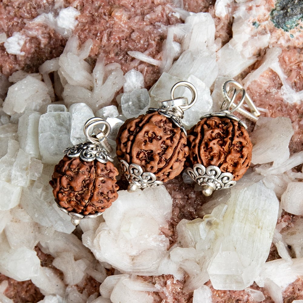 3面】鑑定書付き 聖なる菩提樹 ルドラクシャのペンダントトップ の通販