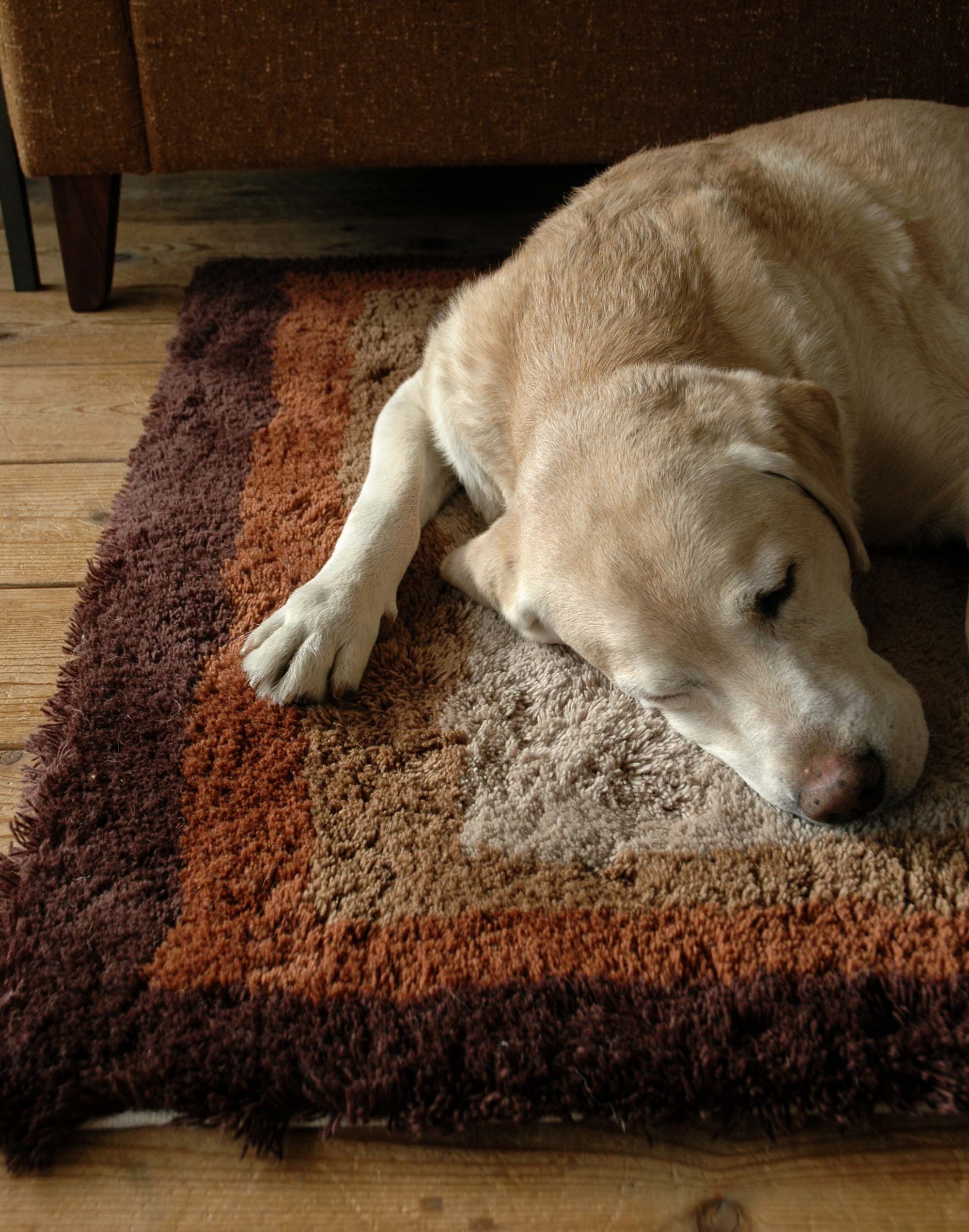 RUG | TRUCK FURNITURE