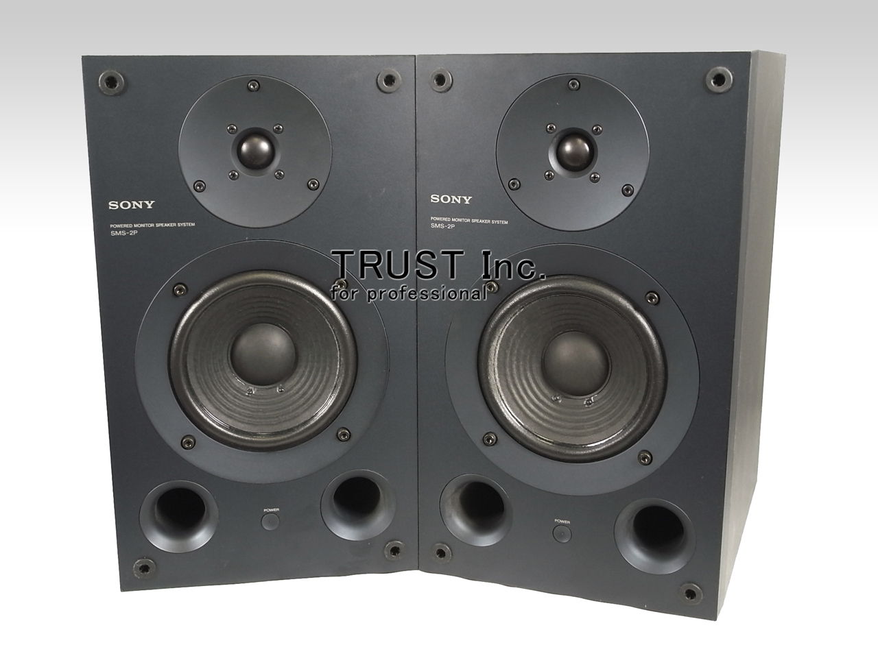 SMS-2P / Powered Monitor Speaker System【中古放送用・業務用 映像