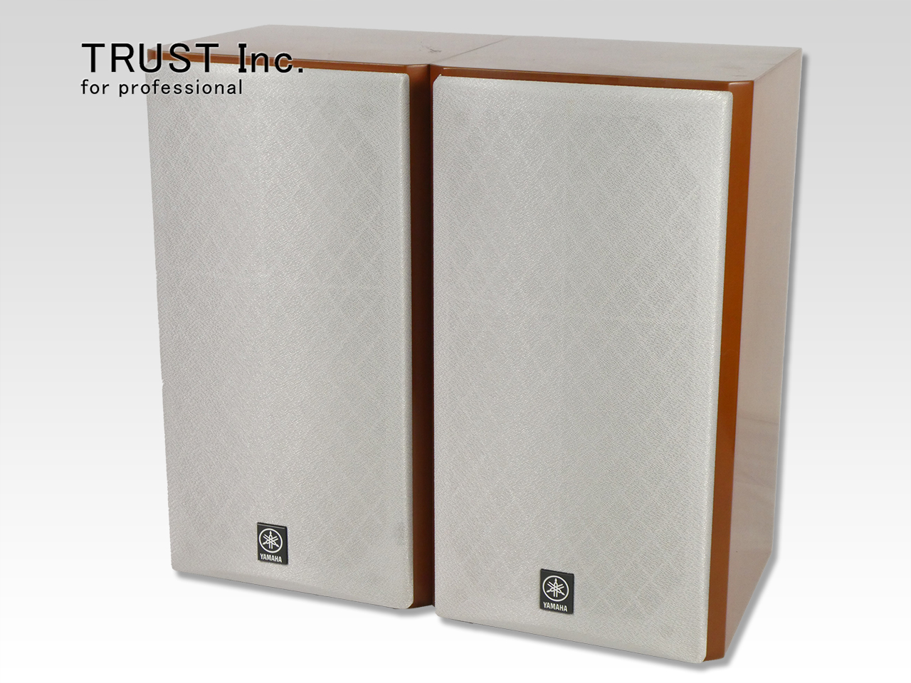 NS-M525 / Speaker System【中古放送用・業務用 映像機器・音響機器の