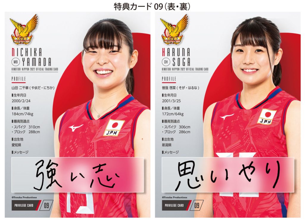 🏐 全日本女子バレーボール 火の鳥 NIPPON 2022 公式トレーディング