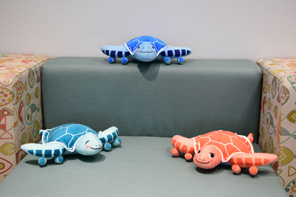 ANA、エアバスA380型機イメージのウミガメぬいぐるみに新色 緑色の