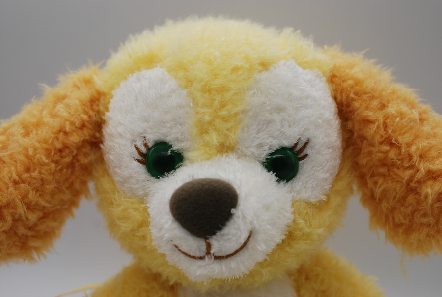 未使用品のクッキー・アンのぬいぐるみ(Sサイズ)が入荷致しました