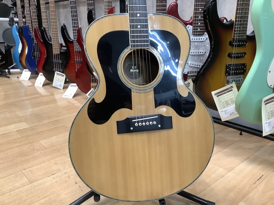 通称ヒゲギター！Morris（モーリス）のWJ-50が入荷しました！｜2021年