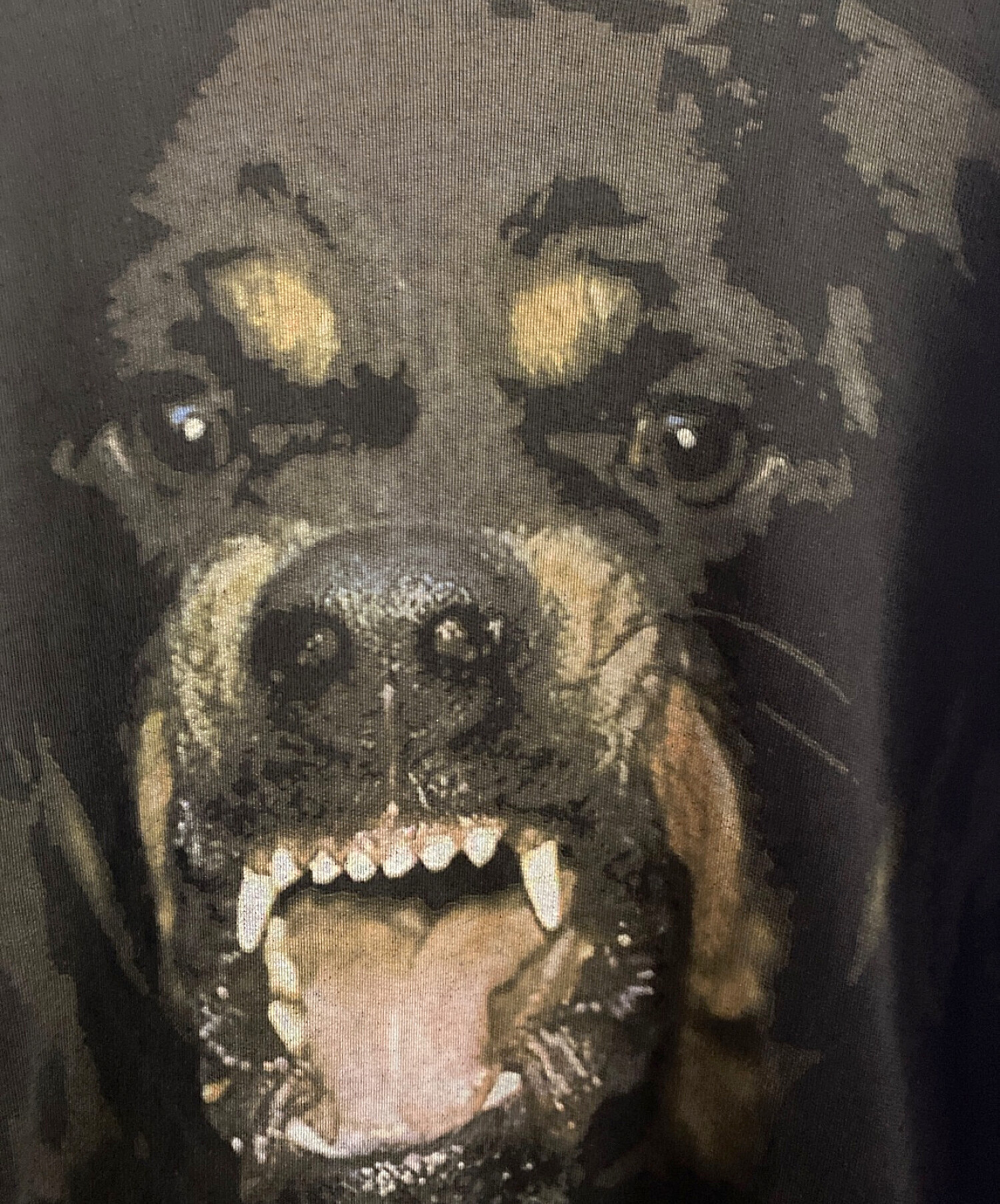 中古・古着通販】GIVENCHY (ジバンシィ) ロットワイラースウェット