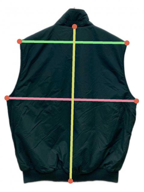 中古・古着通販】Patagonia (パタゴニア) 90'S SHELLED SYNCHILLA VEST