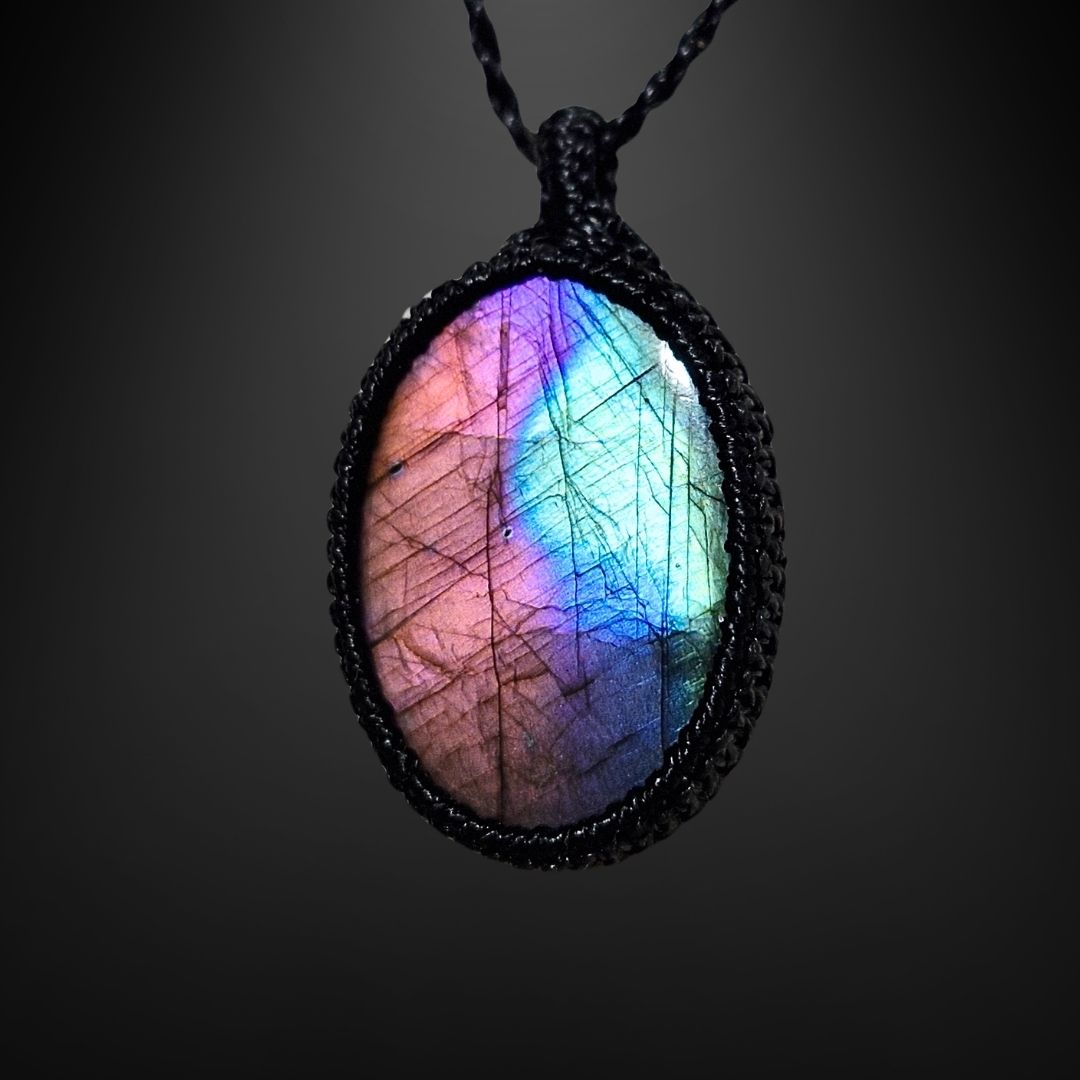 ユニバースナビゲーション