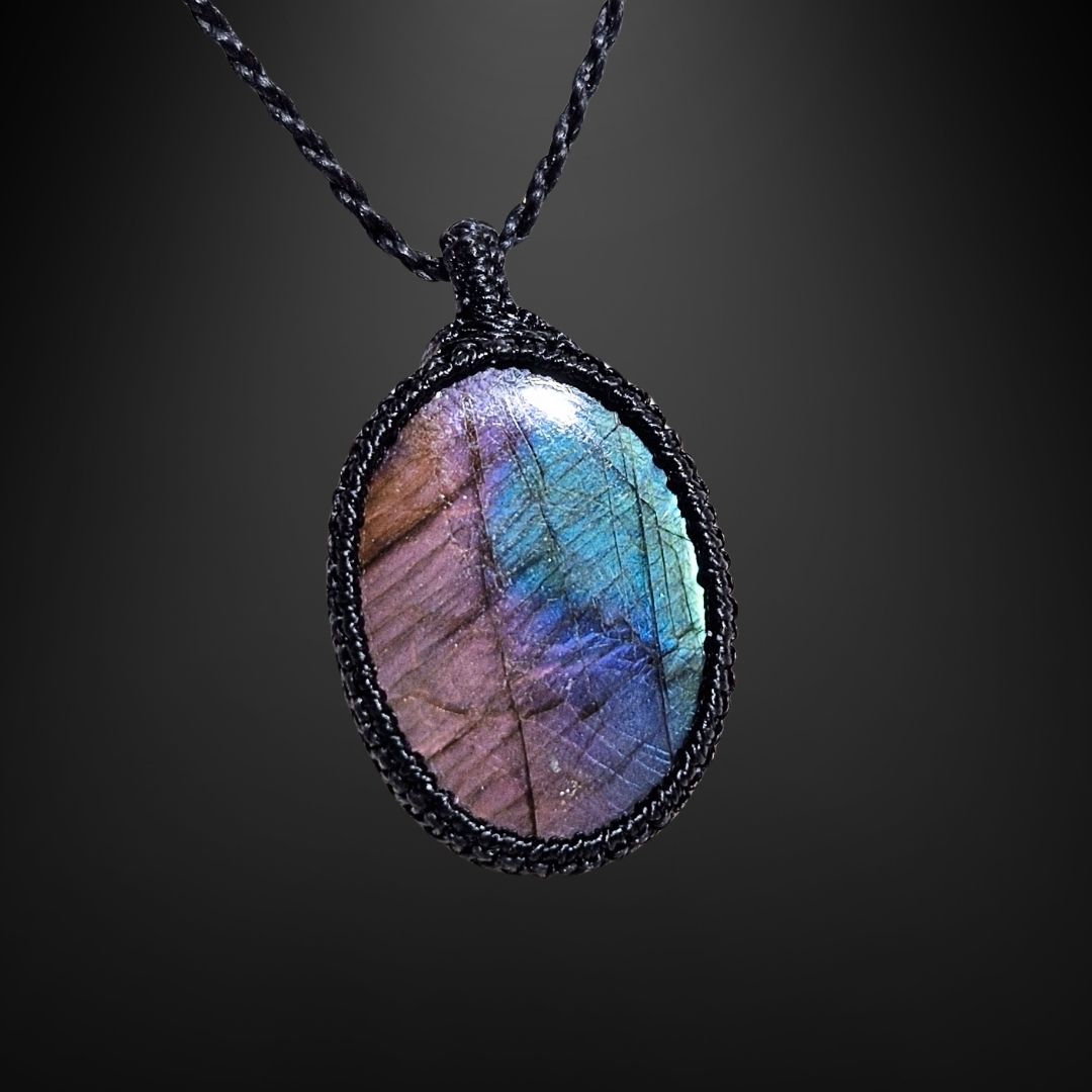 ユニバースナビゲーション