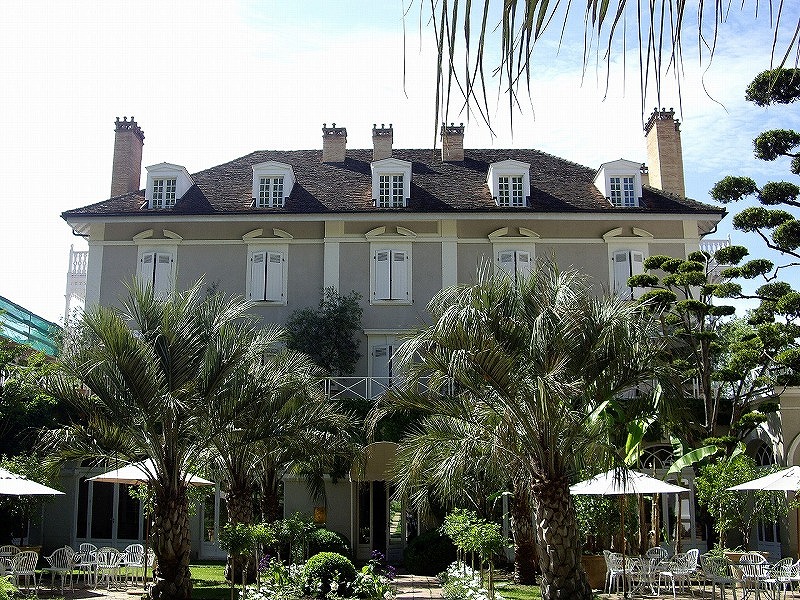 半歩プロの西洋料理】 日本には無い環境で｜01＜西洋＞半歩プロの西洋