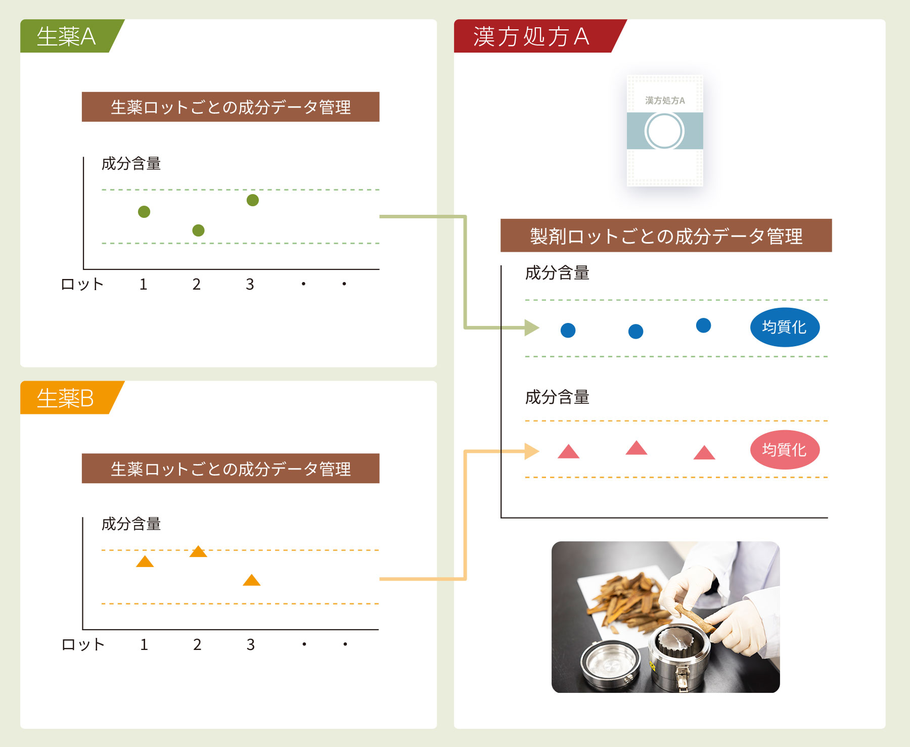 漢方製剤の均質性 - 品質について - ツムラについて - 株式会社ツムラ