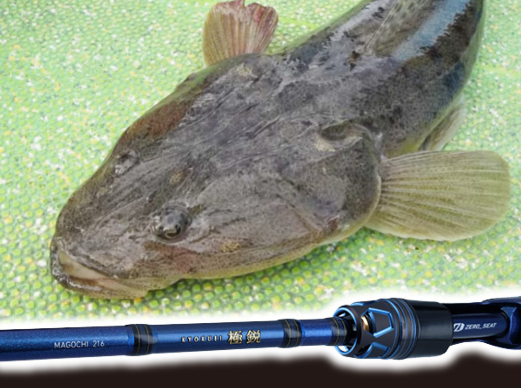 マゴチ釣りファンに朗報!!【軽量＆高感度のハイエンドロッド、「極鋭